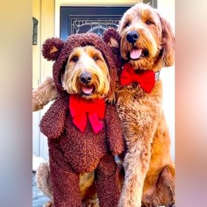 Doodles 🐶🌸💕